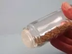 Leere Salz- oder Pfefferstreuer zum Samen aussäen verwenden