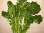 Italienisches Gemüse - Cima di Rapa / Stängelkohl