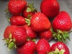 <strong>Erdbeeren</strong> im Kühlschrank richtig lagern