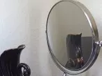 Reinigen des Spiegels (ohne Glasreiniger)