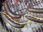Grill-Banane as simple as can be