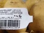 Viele Kartoffeln nach der Ernte behandelt: aufpassen beim Einkaufen