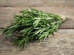 Ein kleiner Strau&szlig; Rosmarin - was man alles damit machen kann