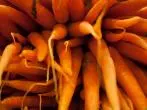 Karotten im Kühlschrank länger frisch halten