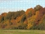 Puzzleteile verrutschen nicht: Rand der Puzzleplatte mit Leim umranden