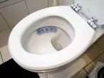 WC-Reinigung "Extrem"