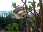 Schmuck selber herstellen beim Goldschmied - aus Schmuckresten