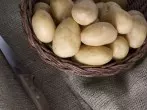 Farmer-Kartoffeln
