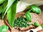 Bärlauch-Aufstrich mit Basilikum und Parmesan