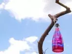 Hübsche Glasflasche - wird zur Dekoflasche