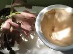 Kaffeefiltertüte zum Auskleiden eines Blumenübertopfes