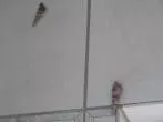 Bohrlöcher im Badezimmer kaschieren