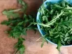 Rucola wie Spinat zubereiten