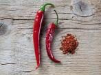 Peperoni trocknen und mahlen