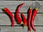Zubereitung von <strong>Chili</strong>