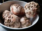 Brötchen statt <strong>Brot</strong> zu <strong>backen</strong> bringt einige Vorteile
