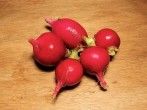 Einfaches und leckeres Rezept für übergebliebene Radieschen