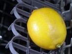 Zitronen im Geschirrspüler vom <strong>Wachs</strong> befreien