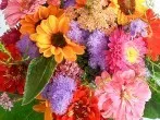 Interims Vasen - Abhilfe bei Blumenstraußflut
