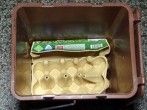 Eierkartons aus Pappe für den Biomüll