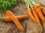 Karotten mit Edelstahl-Topfreiniger säubern
