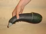 Angeschnittene Zucchini oder Aubergine aufbewahren