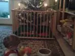 Weihnachtsbaum und Krabbelkind im Haushalt