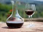 Rotwein richtig trinken & schmecken - Anleitung zum Weintrinken