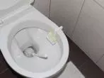 WC Bürsten reinigen