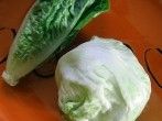Salat platzsparend im Kühlschrank unterbringen