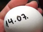 MHD auf Eiern notieren