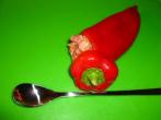 Spitzpaprika mit scharfem Chilihack gefüllt
