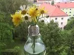 Blumenvase aus Glühbirne selber machen