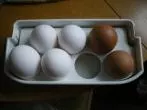Eier kaufen: Alte und neue Eier unterscheiden