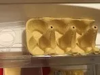 Kühlschrank-Eierbehälter erweitern