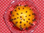 <strong>Orangen</strong>-Nelken-Pomander