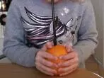 Apfelsine trinken
