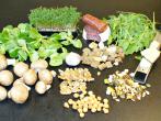 Salattoppings: Das i-Tüpfelchen auf jedem Salat