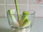 Gekaufte Frühlingszwiebeln einpflanzen