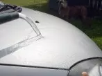 Auto waschen mit Regenwasser