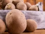 Kartoffeln lagern - so geht's richtig
