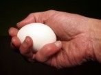 Gekochte <strong>Eier</strong> bei Sehnenscheidenentz&uuml;ndung