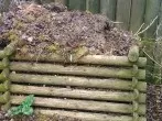 Keinen Löwenzahn in den Kompost