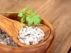 Liebstöckel-Salz herstellen