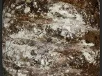 Herzhaftes Gourmetbrot (glutenfrei und laktosefrei)