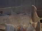 Eierkarton als Hilfe zum Trocknen für Flaschen