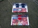 Mini-Portemonnaie aus Capri-Sonne ~ DIY