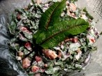 Blut-Sauerampfer-Salat – <strong>frisch</strong> und fruchtig