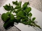 Rucola - sehr vielseitig und gesund!
