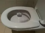 Tabs für die Toilette herstellen